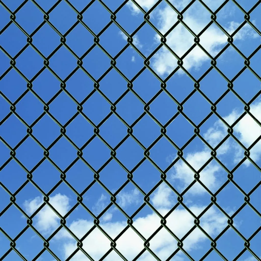 Chain Link Fence with Posts Spike Steel 0,8x25 m