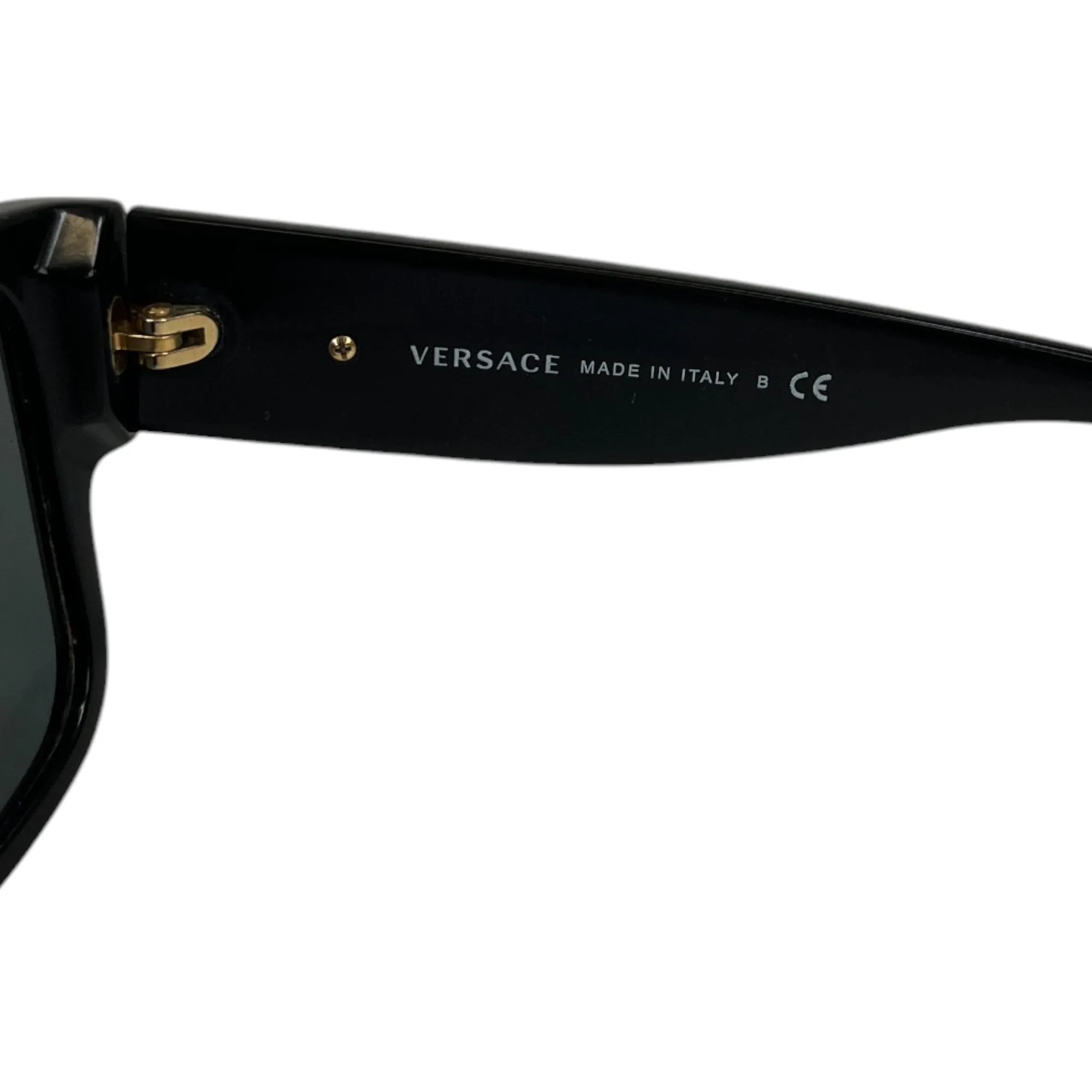 Men's Medusa Logo Sunglasses Black